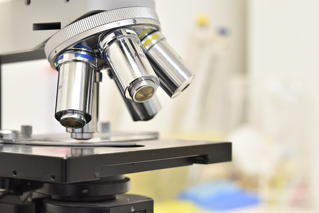 用于聚氨酯彈性體的環保型新癸酸鋅催化劑，提供良好的熱穩定性能